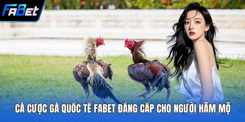 Cá Cược Gà Quốc Tế FABET Đẳng Cấp Cho Người Hâm Mộ 2 Cá cược gà quốc tế FABET