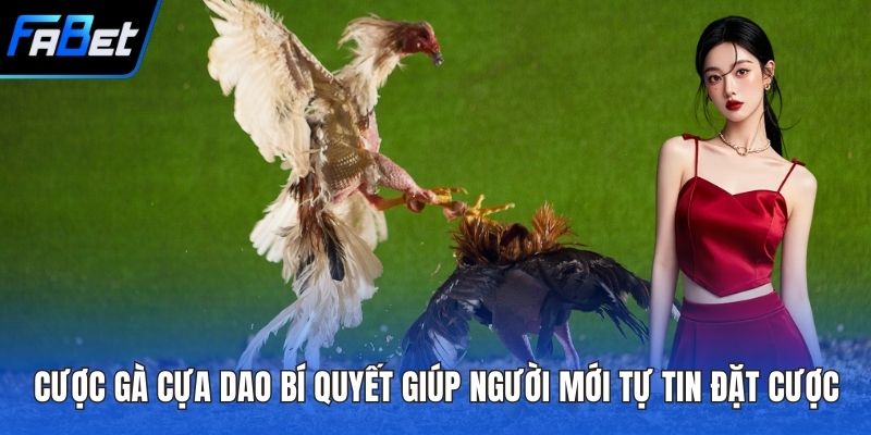 Cược Gà Cựa Dao Bí Quyết Giúp Người Mới Tự Tin Đặt Cược 1 Cược gà cựa dao