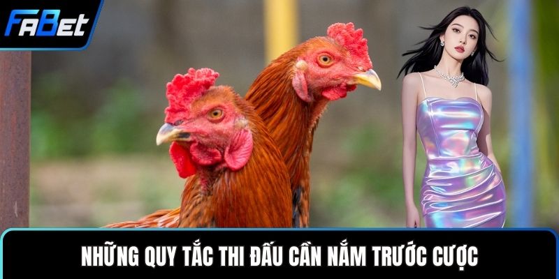Những quy tắc thi đấu cần nắm trước cược